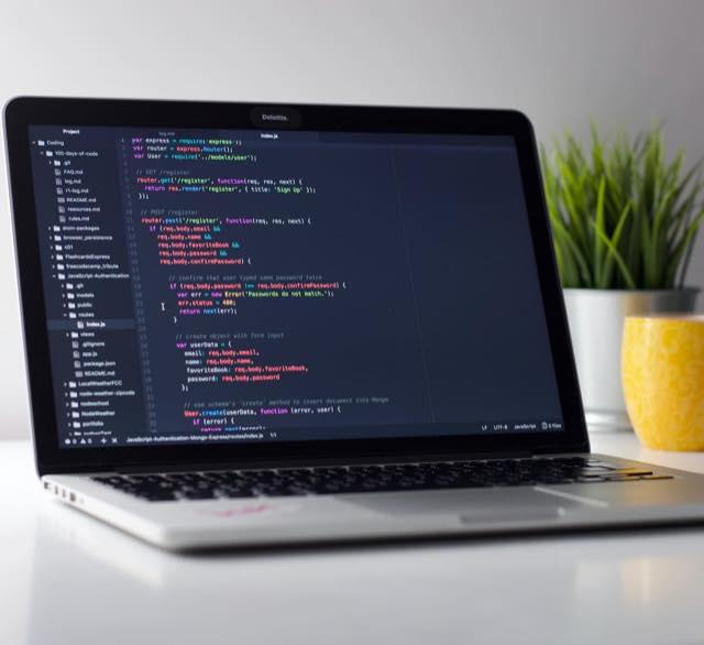 Web development project